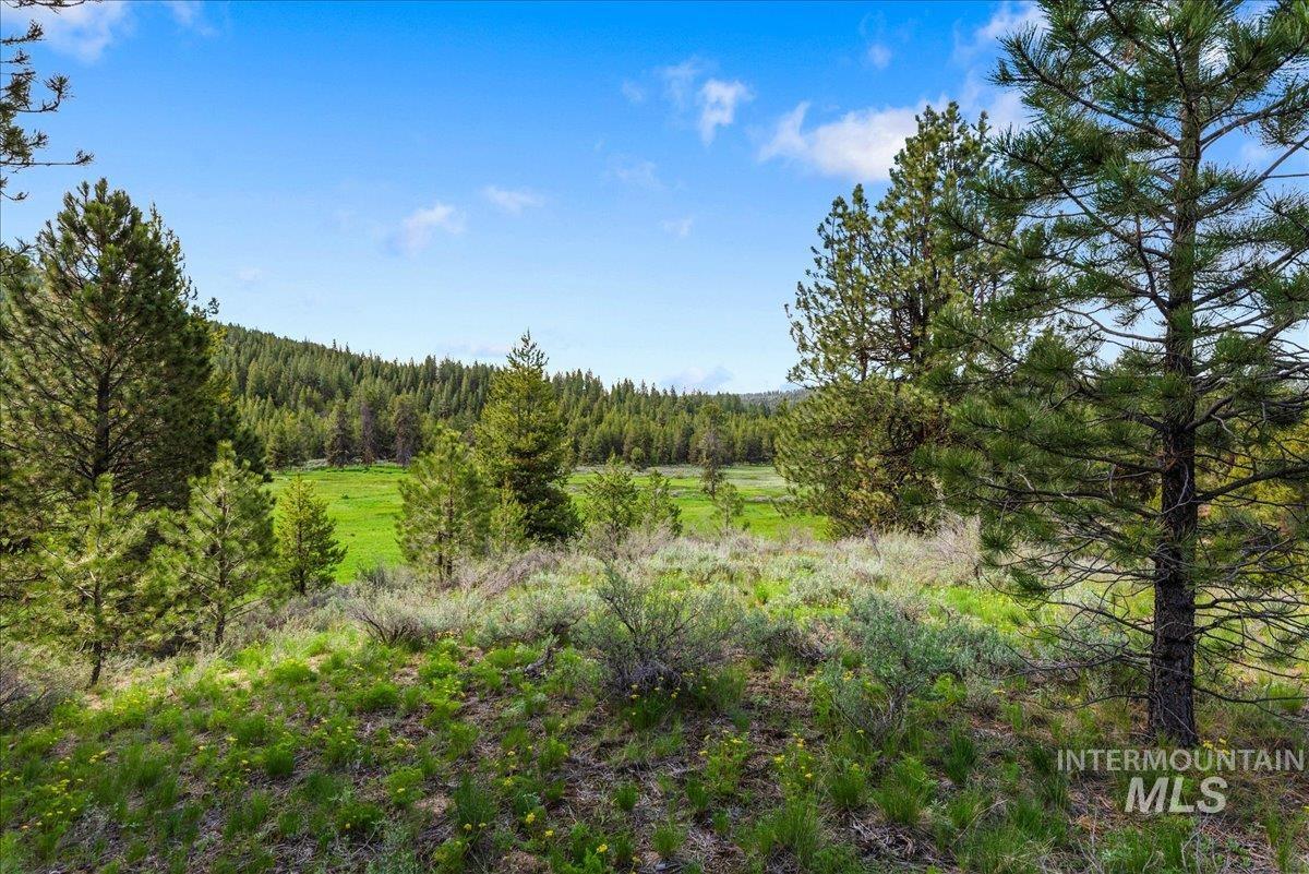 Tbd Pointes Road Cascade, ID 83611 - Photo 46 of 50 View of woods