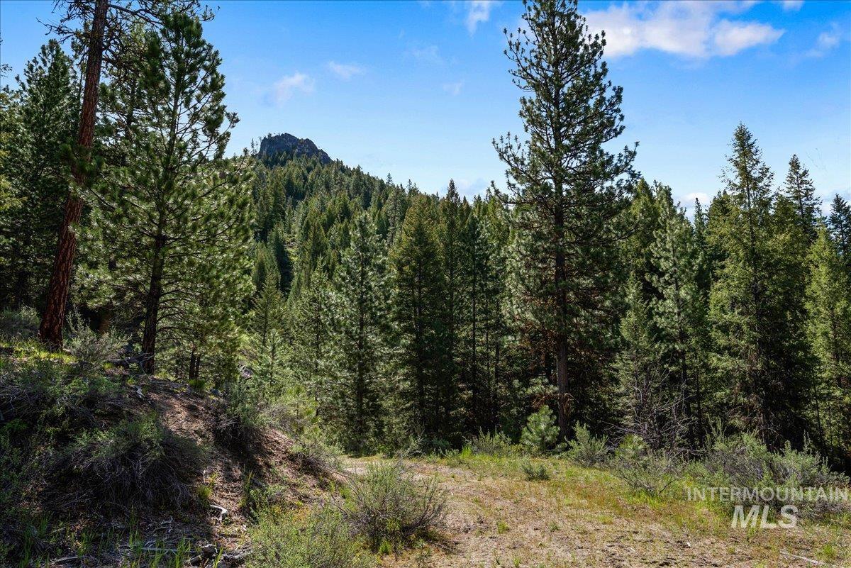 Tbd Pointes Road Cascade, ID 83611 - Photo 47 of 50 View of wooded area featuring a mountain view