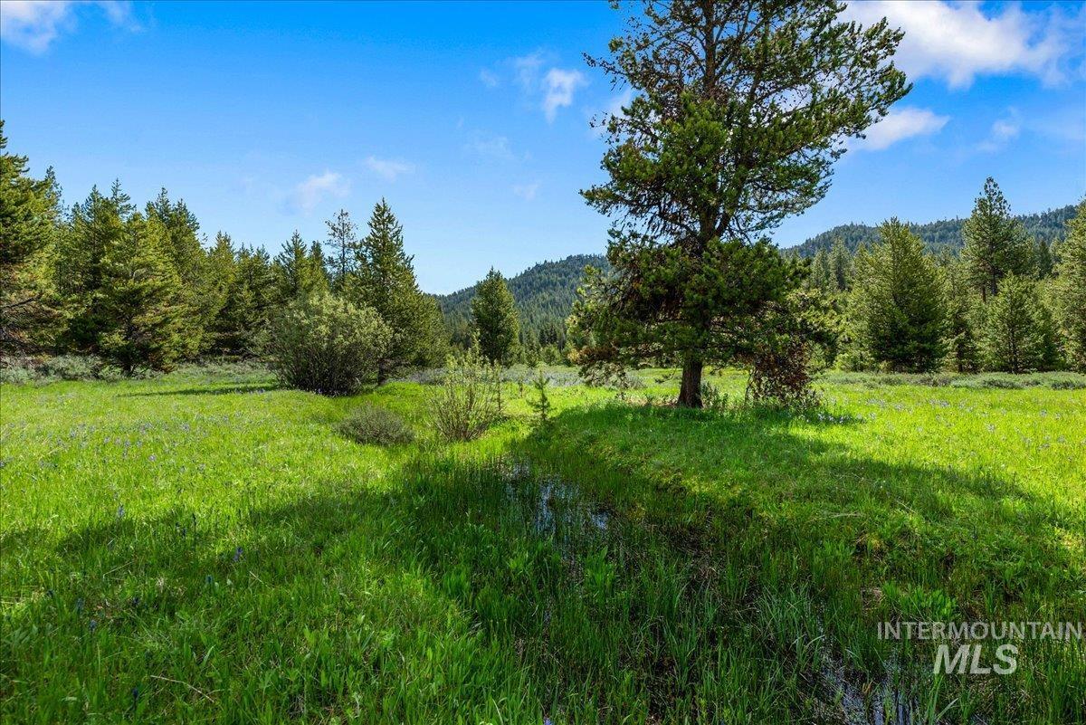 Tbd Pointes Road Cascade, ID 83611 - Photo 48 of 50 View of tree filled area with a mountain view