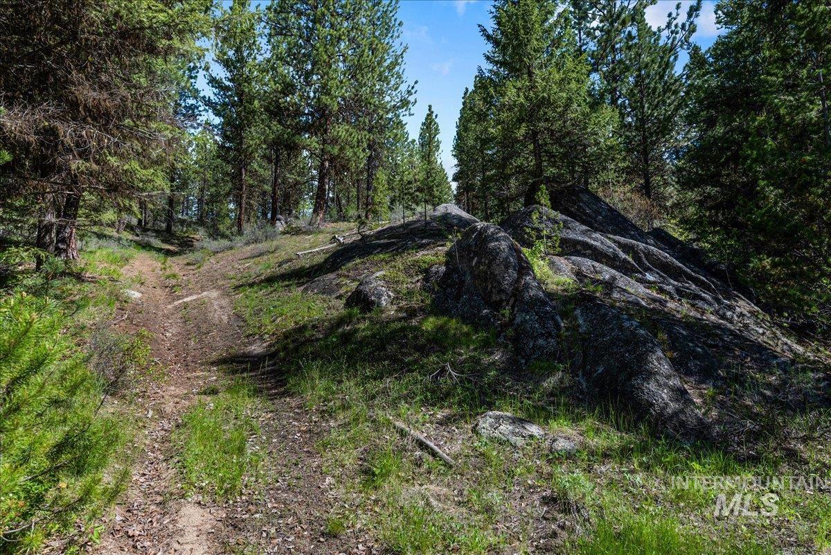 Tbd Pointes Road Cascade, ID 83611 - Photo 49 of 50 View of nature