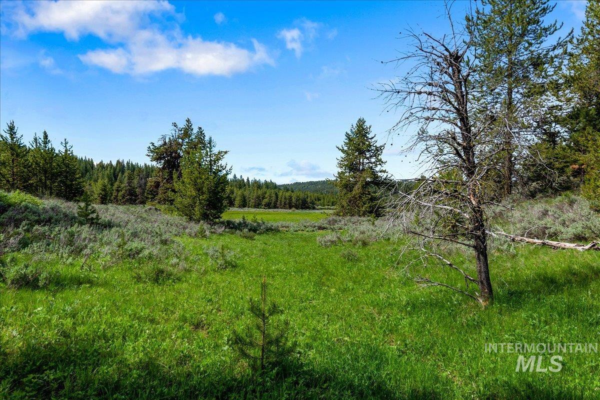 Tbd Pointes Road Cascade, ID 83611 - Photo 50 of 50 View of tree filled area