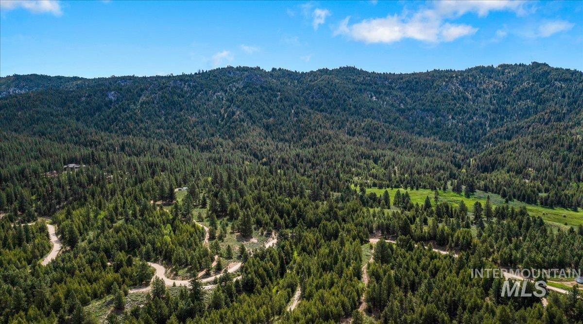 Tbd Pointes Road Cascade, ID 83611 - Photo 5 of 50 Mountain view with a heavily wooded area