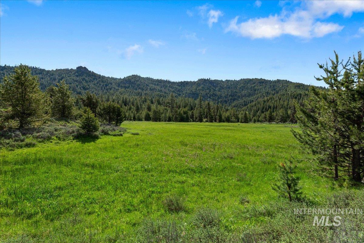 Tbd Pointes Road Cascade, ID 83611 - Photo 7 of 50 View of mountain background with a heavily wooded area