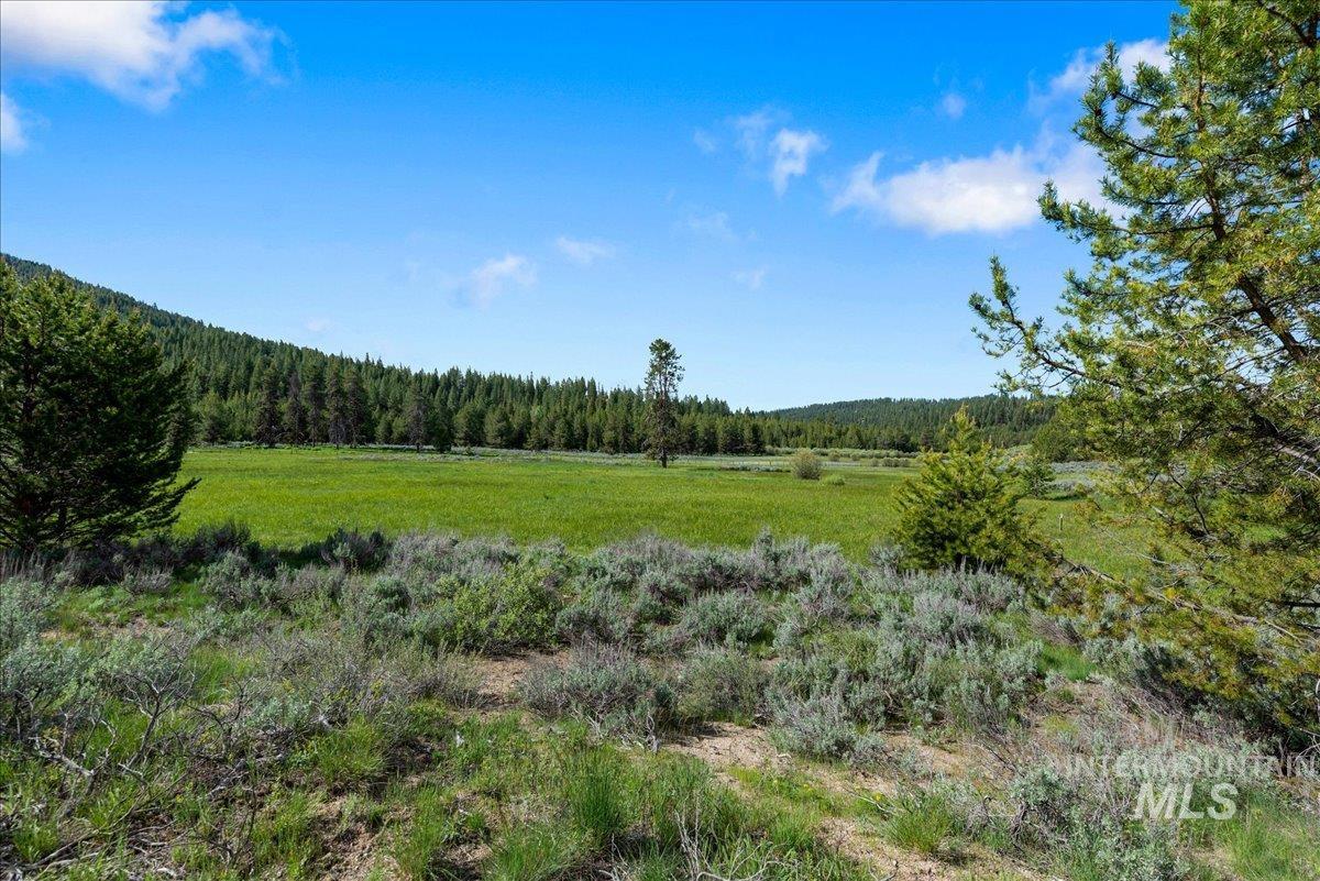 Tbd Pointes Road Cascade, ID 83611 - Photo 9 of 50 View of wooded area