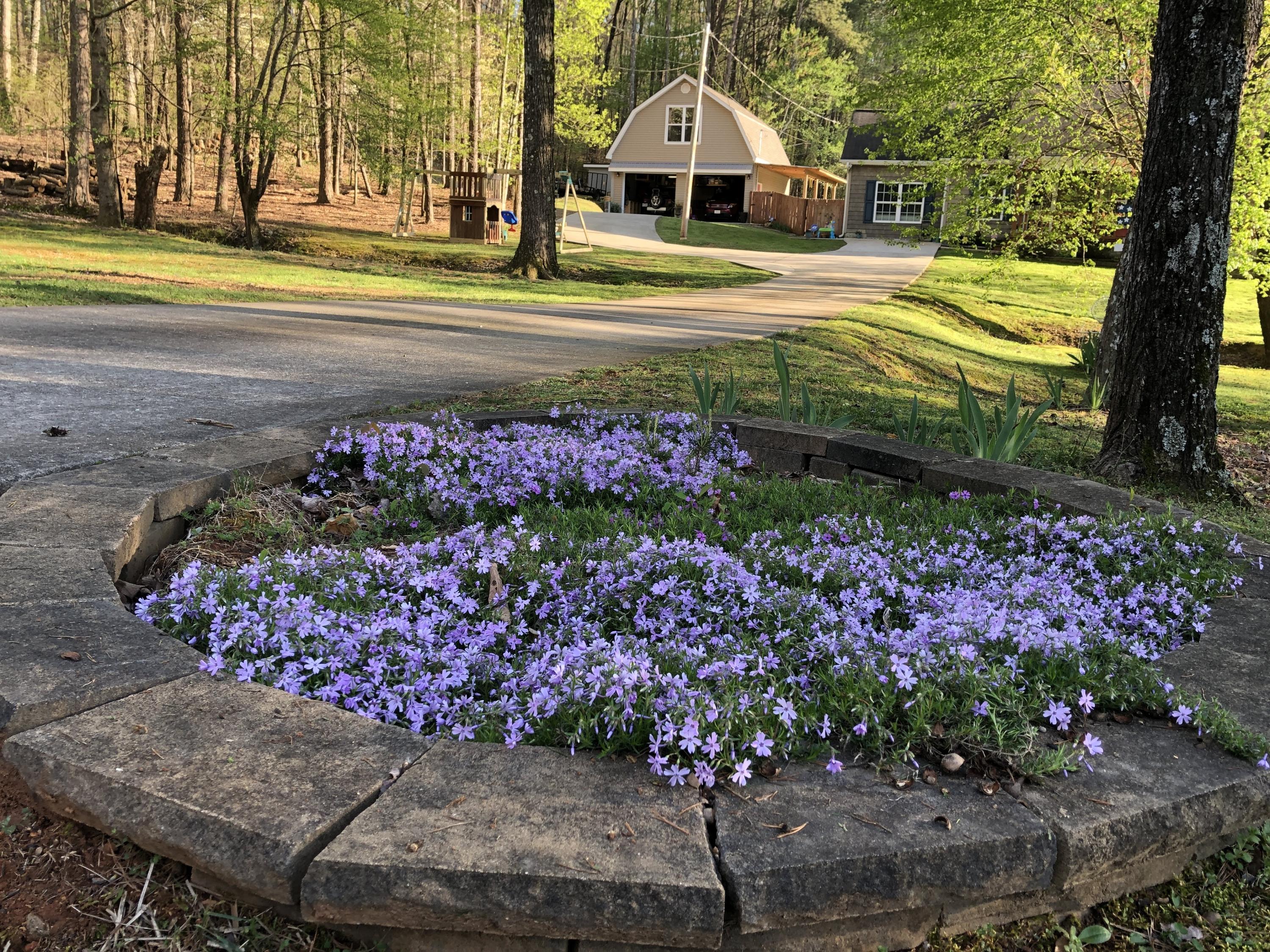 102 Clyde Byrd Road LaFayette, GA 30728 - Photo 5 of 128 IMG_3958