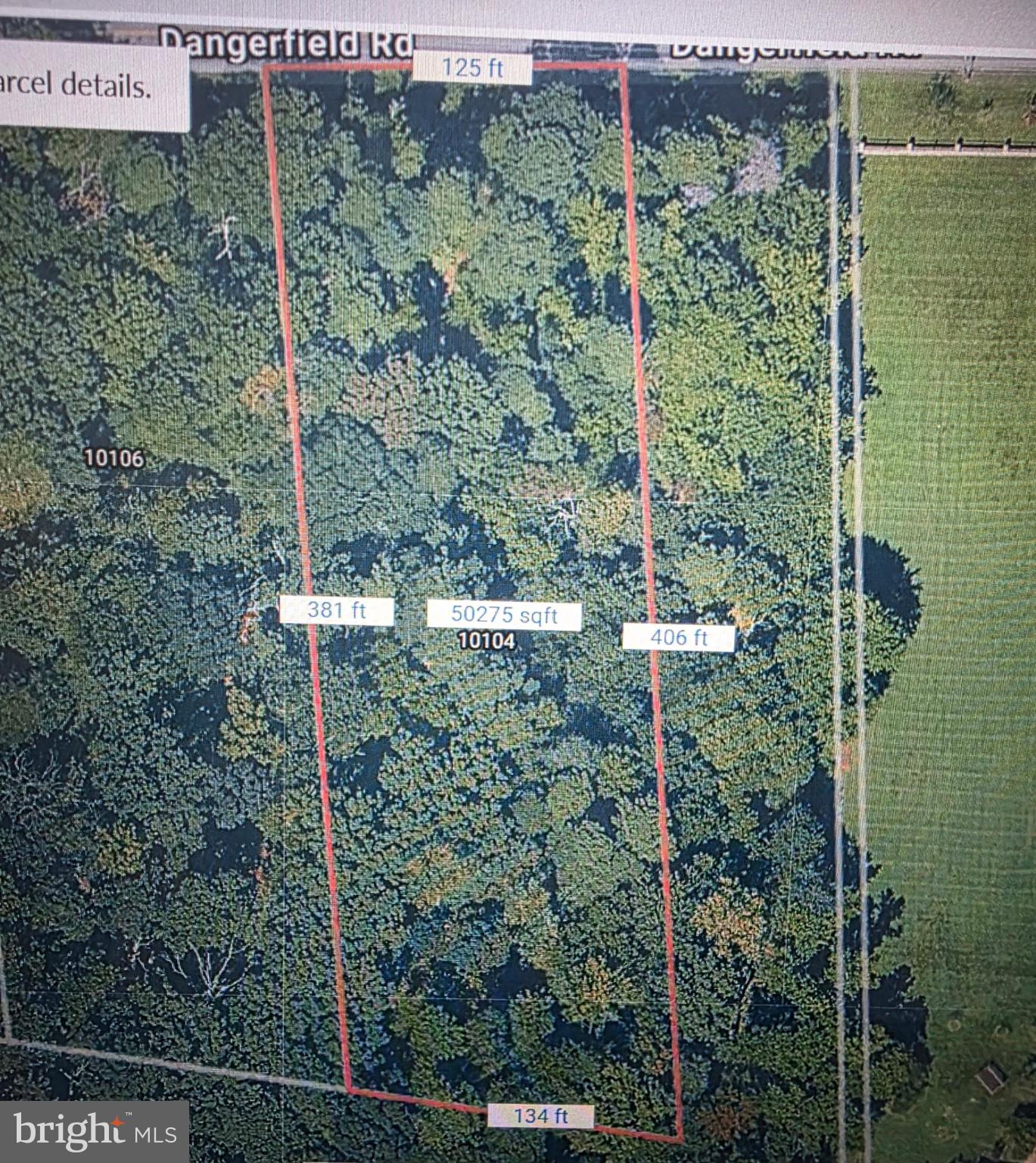 Expansive wooded lot for sale.