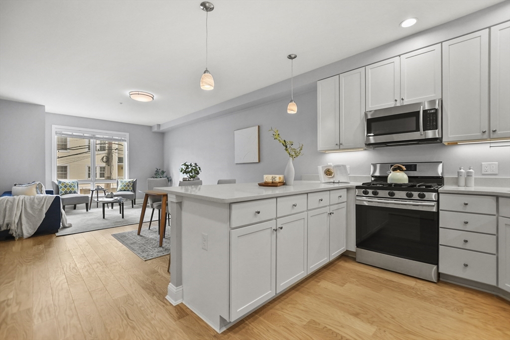 15 Guild Street, Unit 204 Boston, MA 02119 - Photo 6 of 35 Gallery Image 6