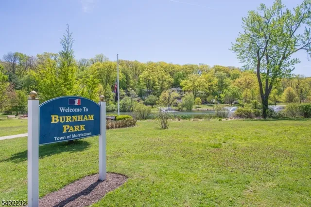 a view of a park with large trees