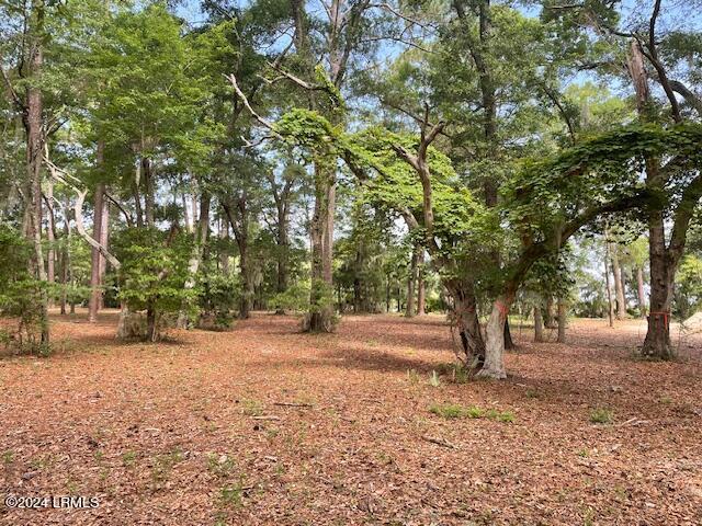 345 Fripp Point Road St. Helena Island, SC 29920 - Photo 3 of 10 IMG_3372