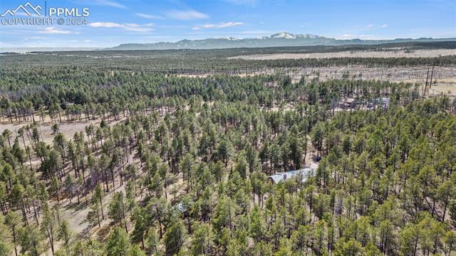 11520 Brinkerhoff Road Elbert, CO 80106 - Photo 43 of 50