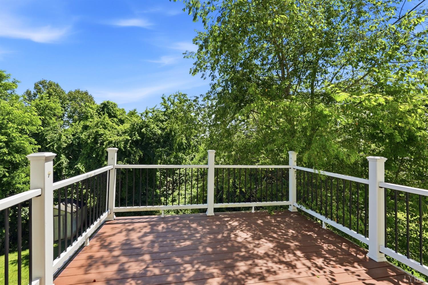 229 Towne Crier Road Lynchburg, VA 24502 - Photo 29 of 41