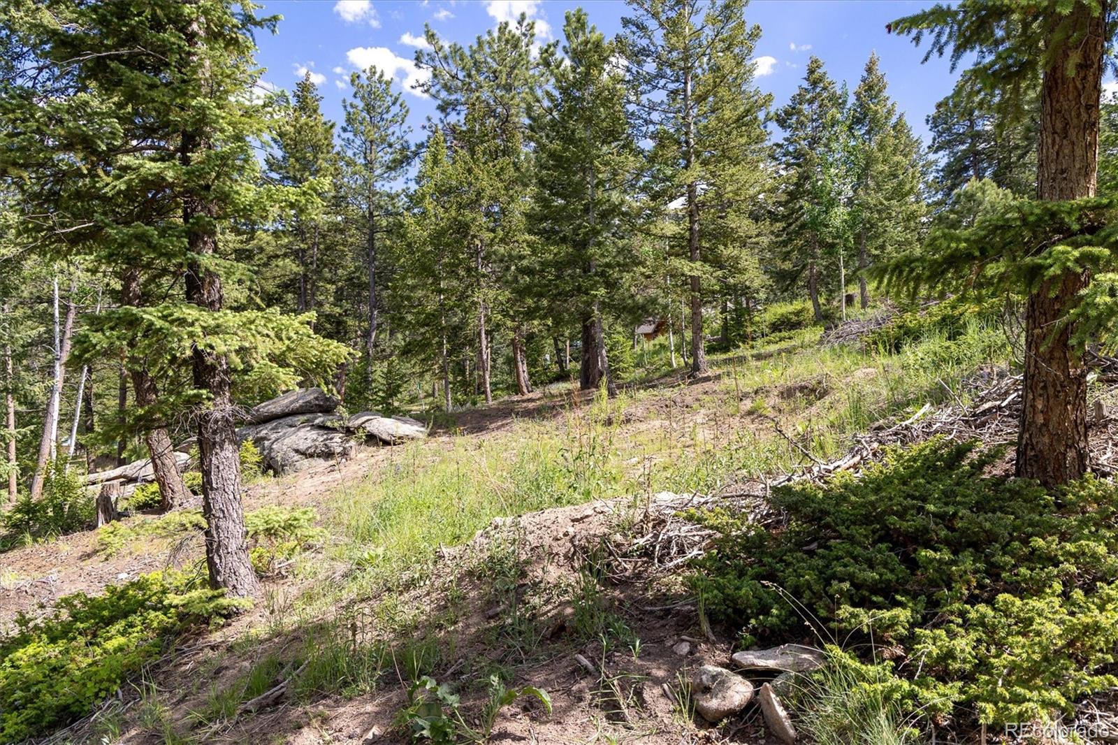 31429 Burke Road Golden, CO 80403 - Photo 11 of 40