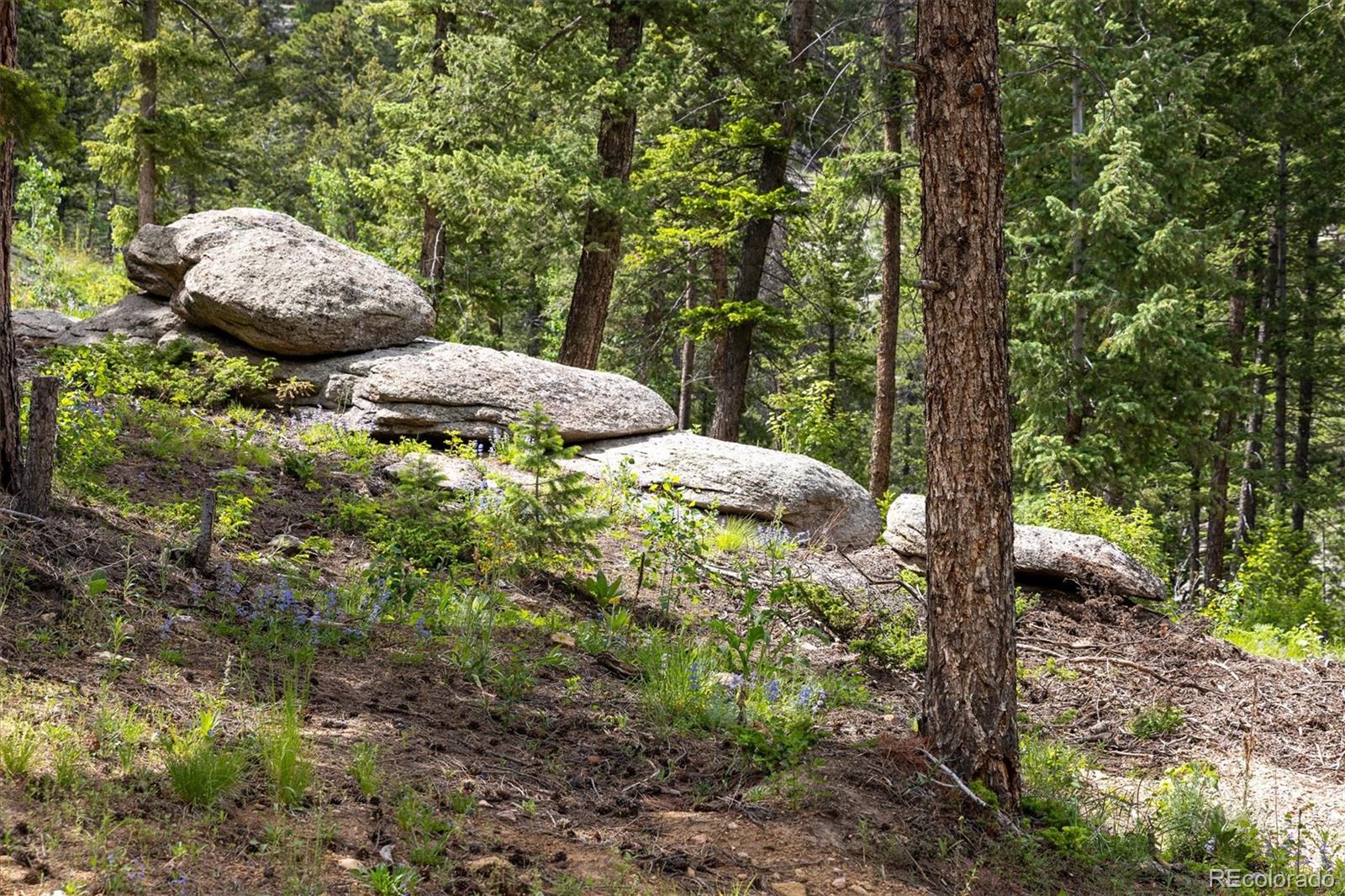 31429 Burke Road Golden, CO 80403 - Photo 12 of 40