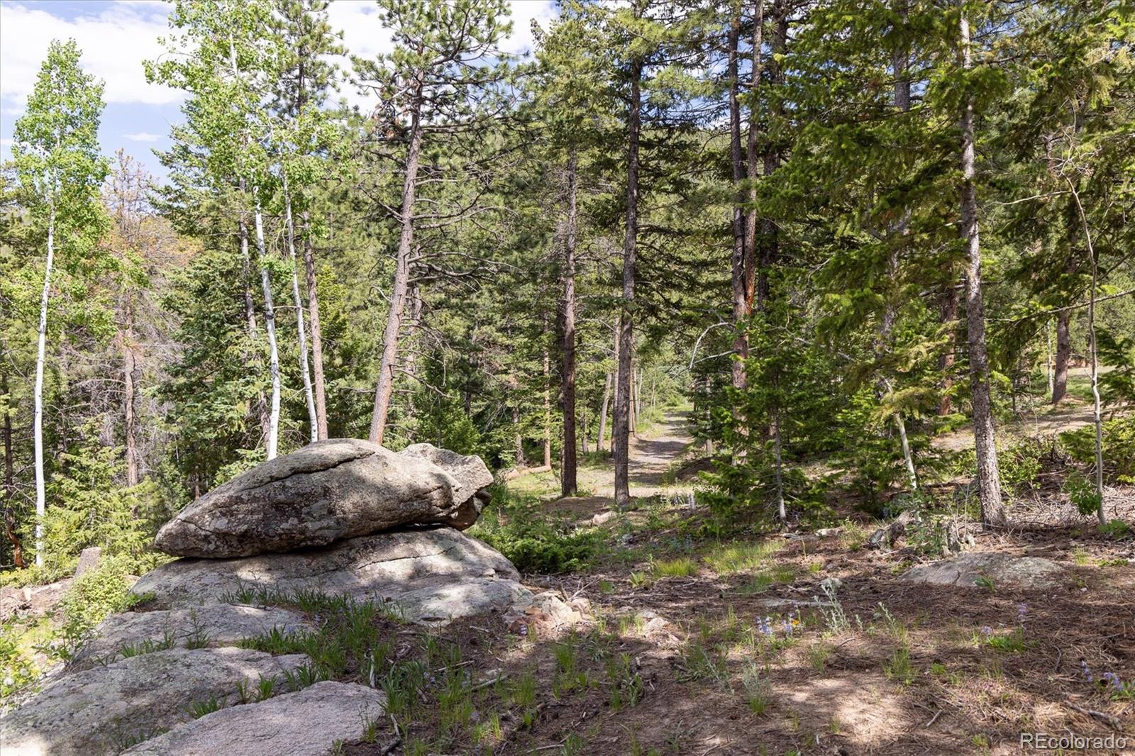 31429 Burke Road Golden, CO 80403 - Photo 13 of 40