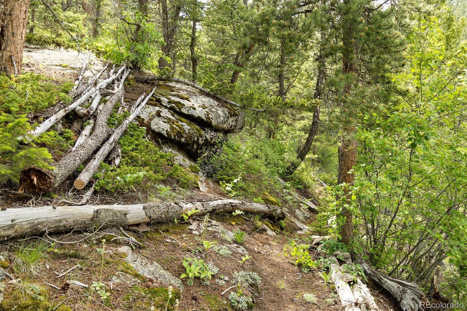 31429 Burke Road Golden, CO 80403 - Photo 14 of 40