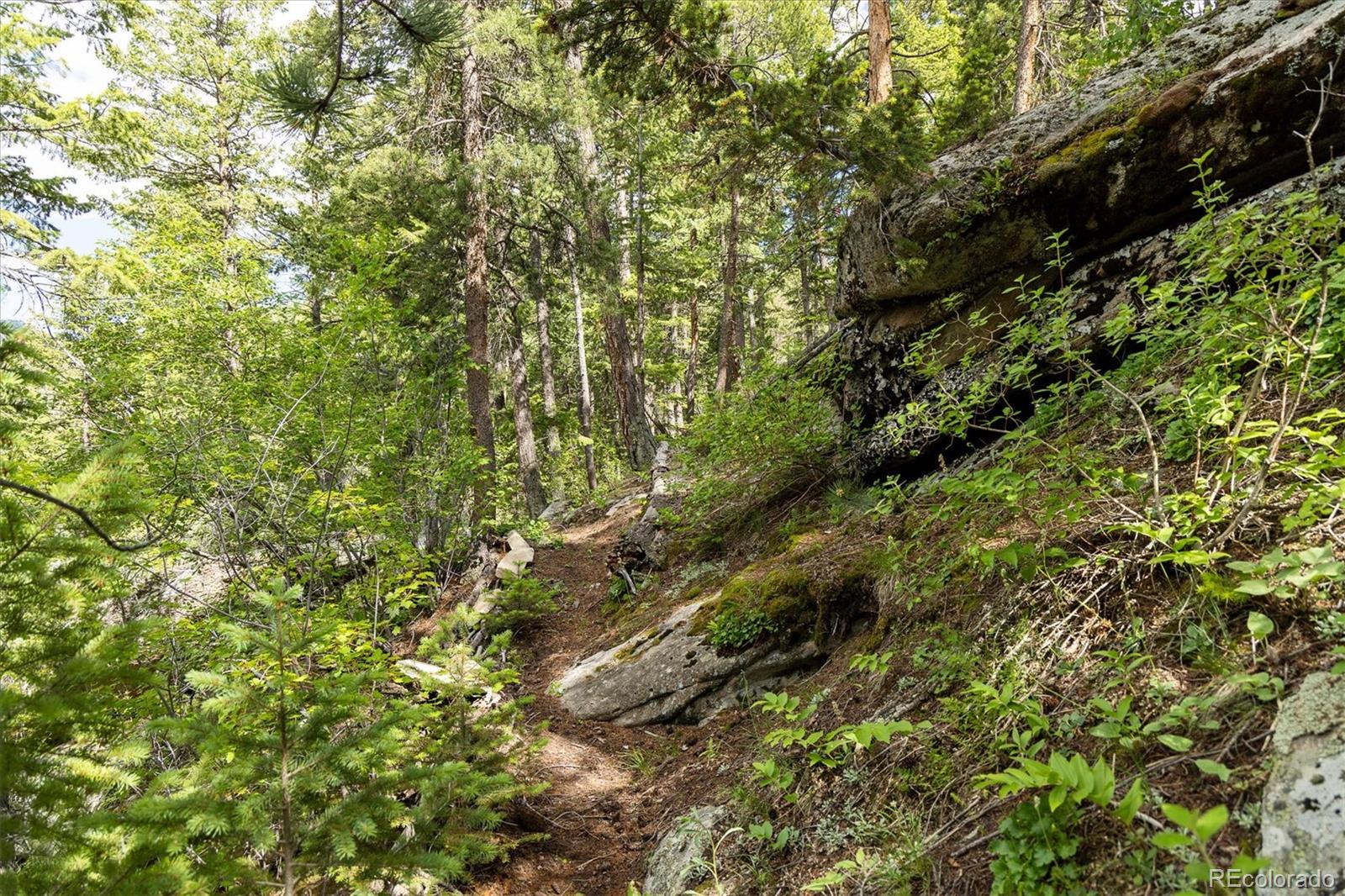 31429 Burke Road Golden, CO 80403 - Photo 16 of 40