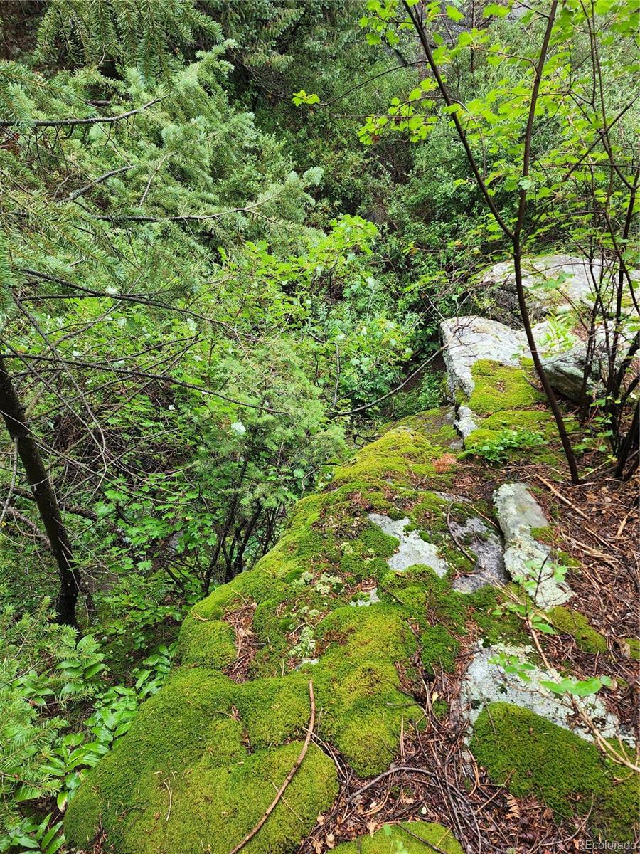 31429 Burke Road Golden, CO 80403 - Photo 17 of 40