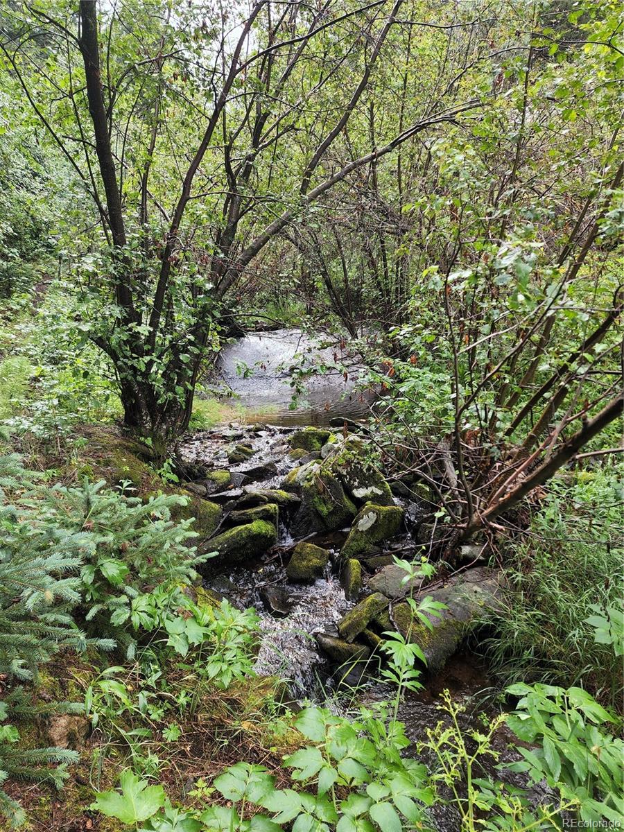 31429 Burke Road Golden, CO 80403 - Photo 18 of 40