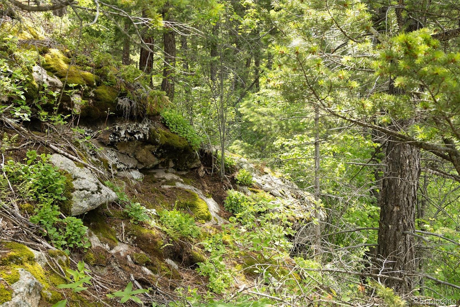 31429 Burke Road Golden, CO 80403 - Photo 19 of 40