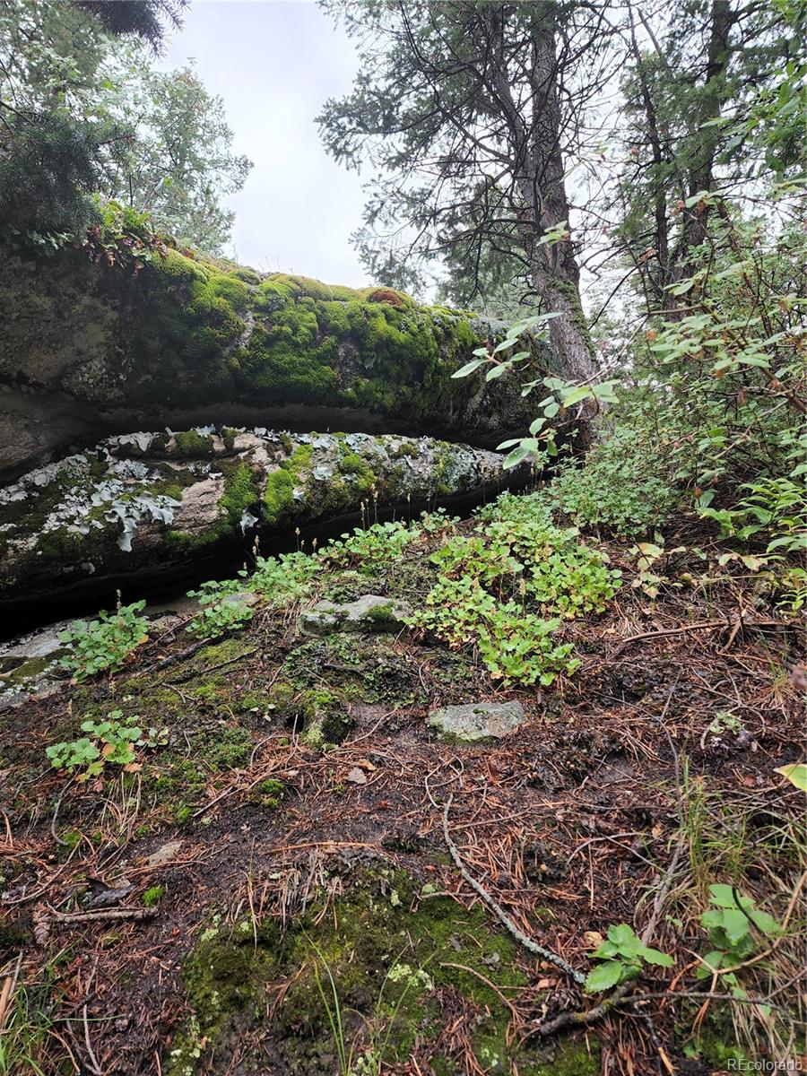 31429 Burke Road Golden, CO 80403 - Photo 20 of 40