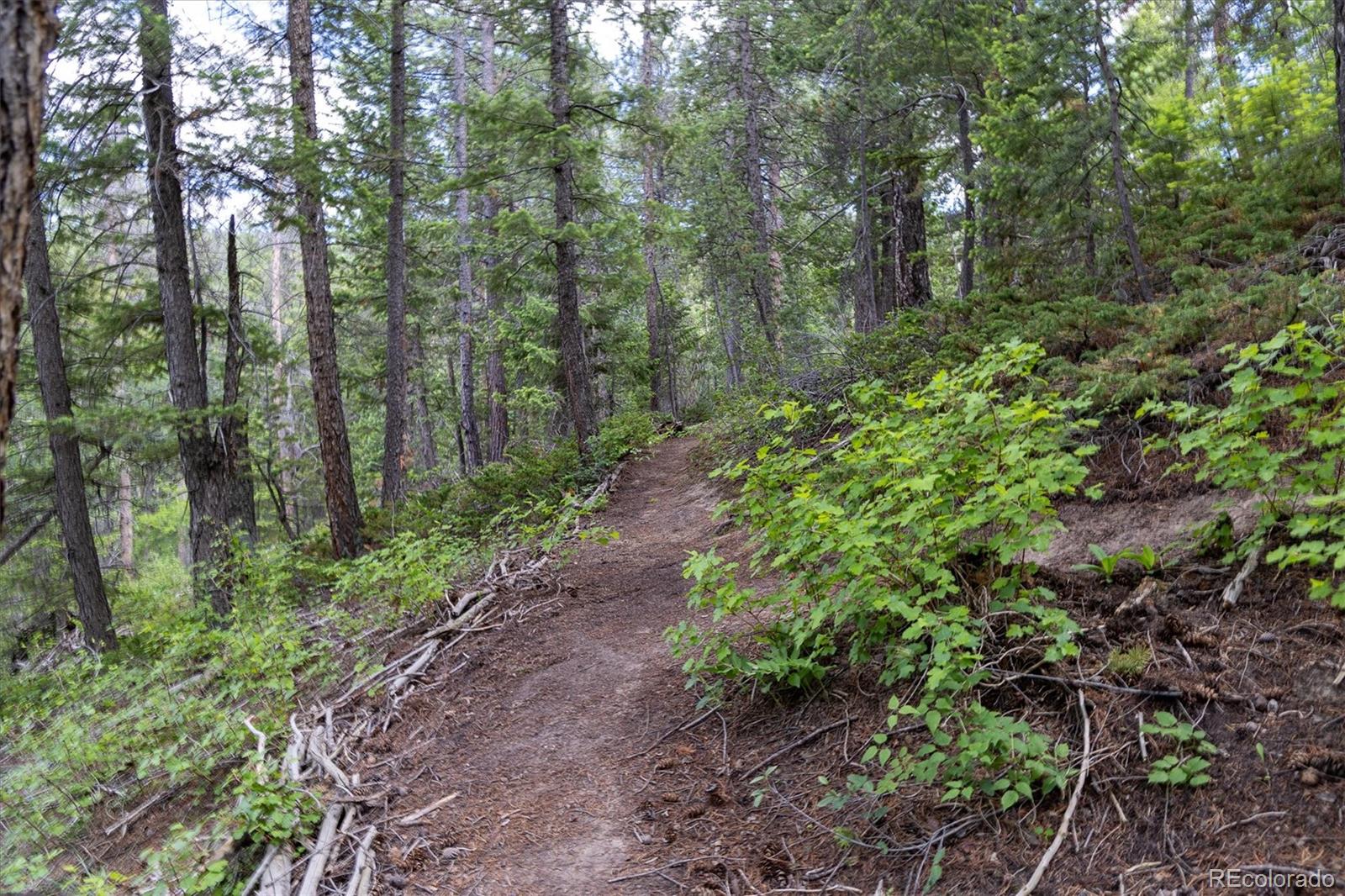 31429 Burke Road Golden, CO 80403 - Photo 2 of 40
