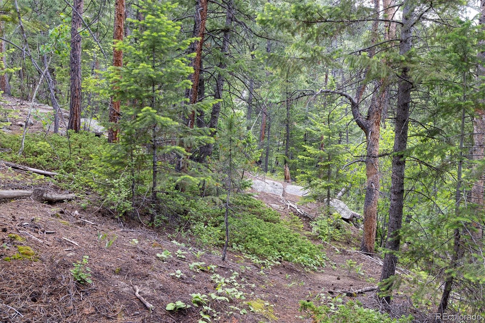 31429 Burke Road Golden, CO 80403 - Photo 21 of 40