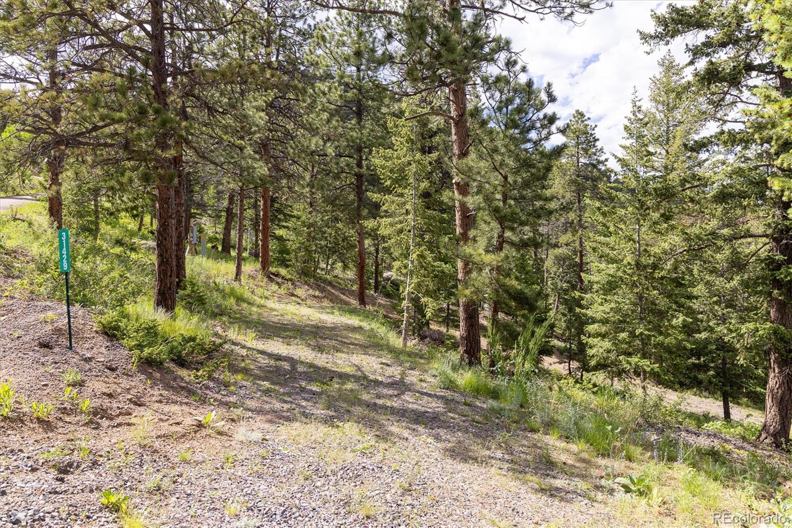 31429 Burke Road Golden, CO 80403 - Photo 23 of 40