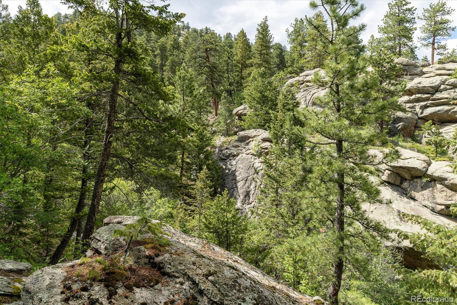 31429 Burke Road Golden, CO 80403 - Photo 3 of 40