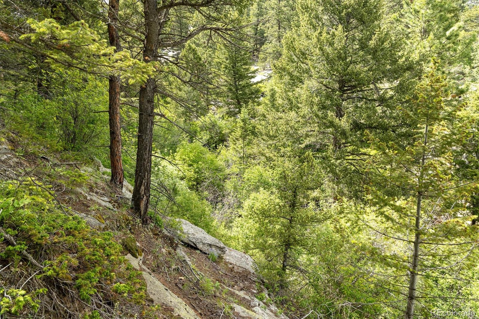 31429 Burke Road Golden, CO 80403 - Photo 31 of 40