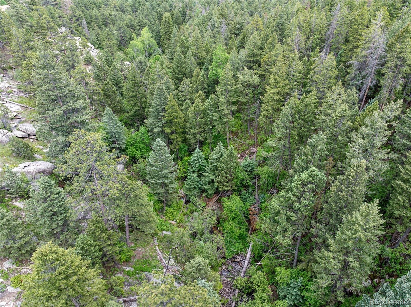 31429 Burke Road Golden, CO 80403 - Photo 35 of 40