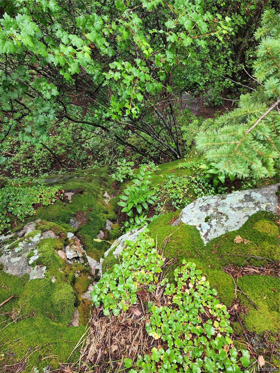 31429 Burke Road Golden, CO 80403 - Photo 37 of 40