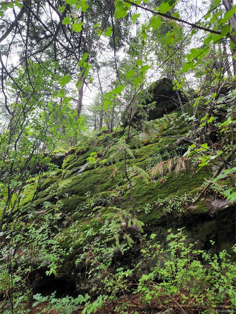 31429 Burke Road Golden, CO 80403 - Photo 39 of 40