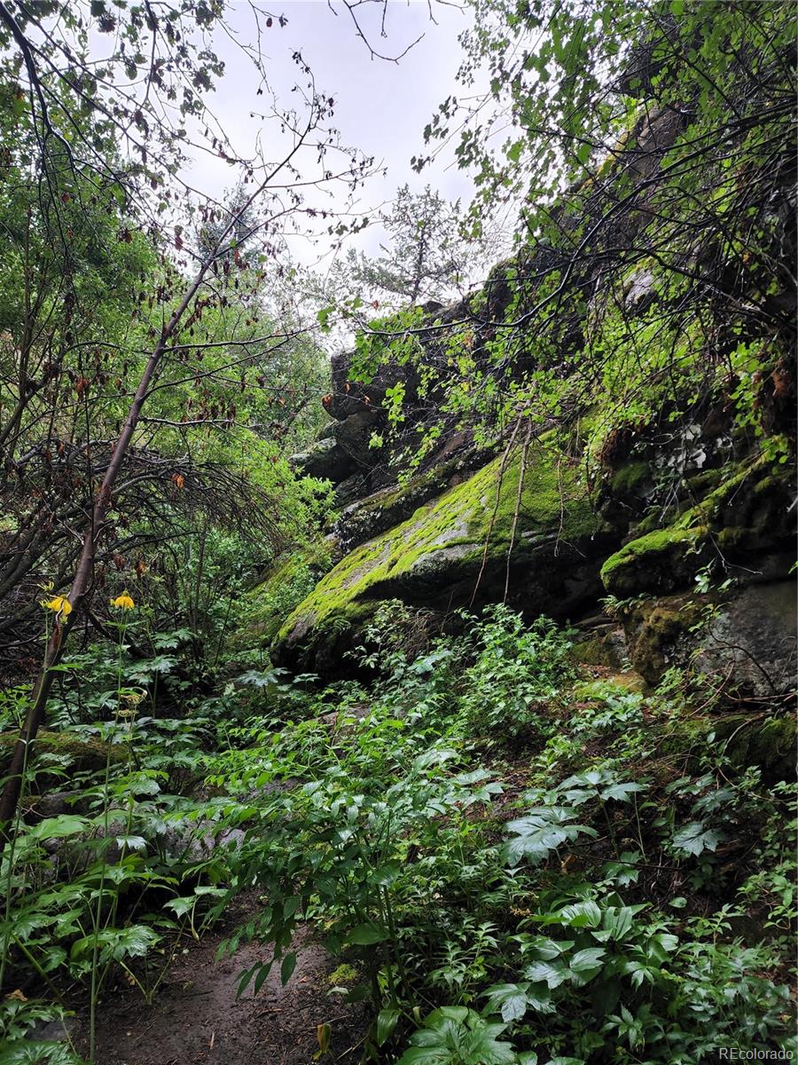 31429 Burke Road Golden, CO 80403 - Photo 40 of 40