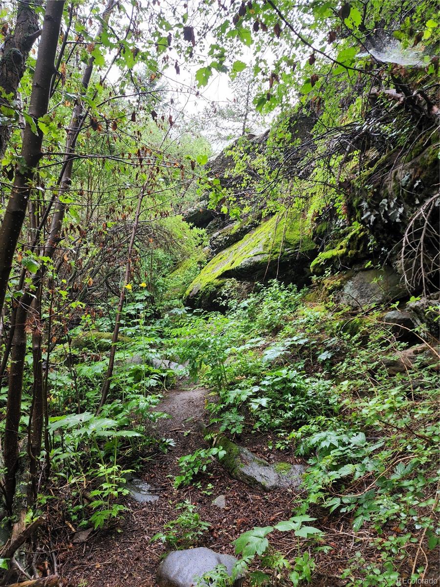 31429 Burke Road Golden, CO 80403 - Photo 4 of 40
