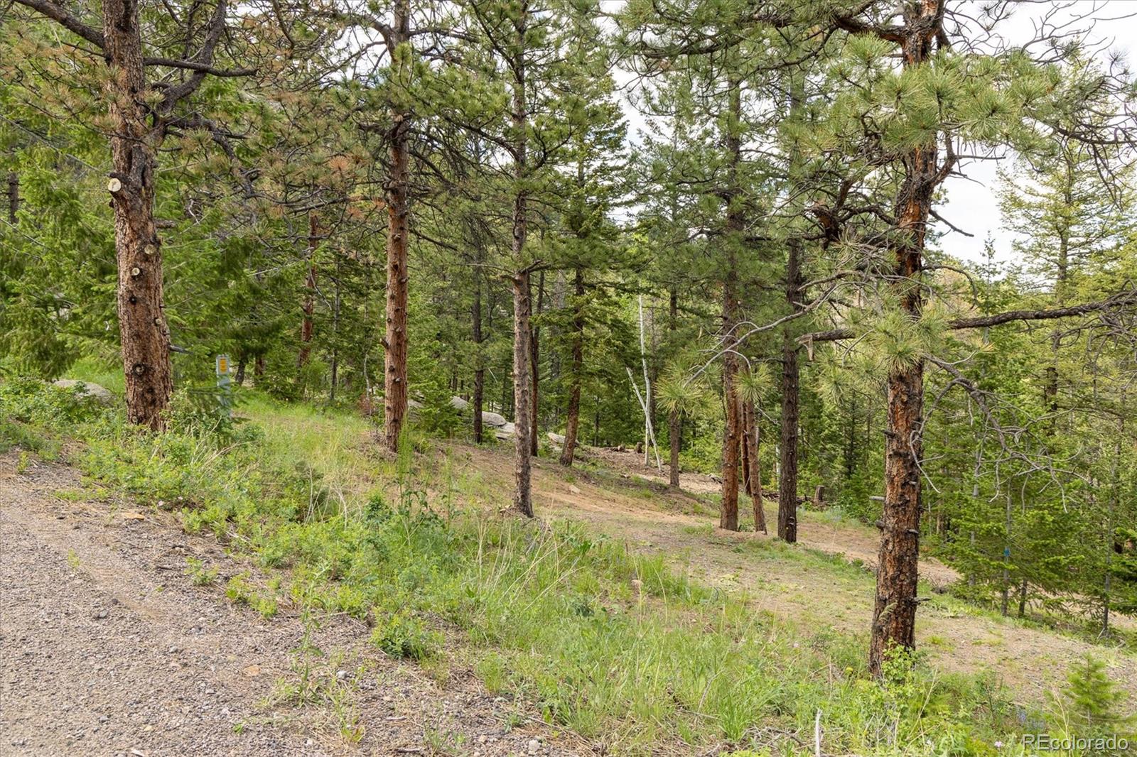 31429 Burke Road Golden, CO 80403 - Photo 7 of 40