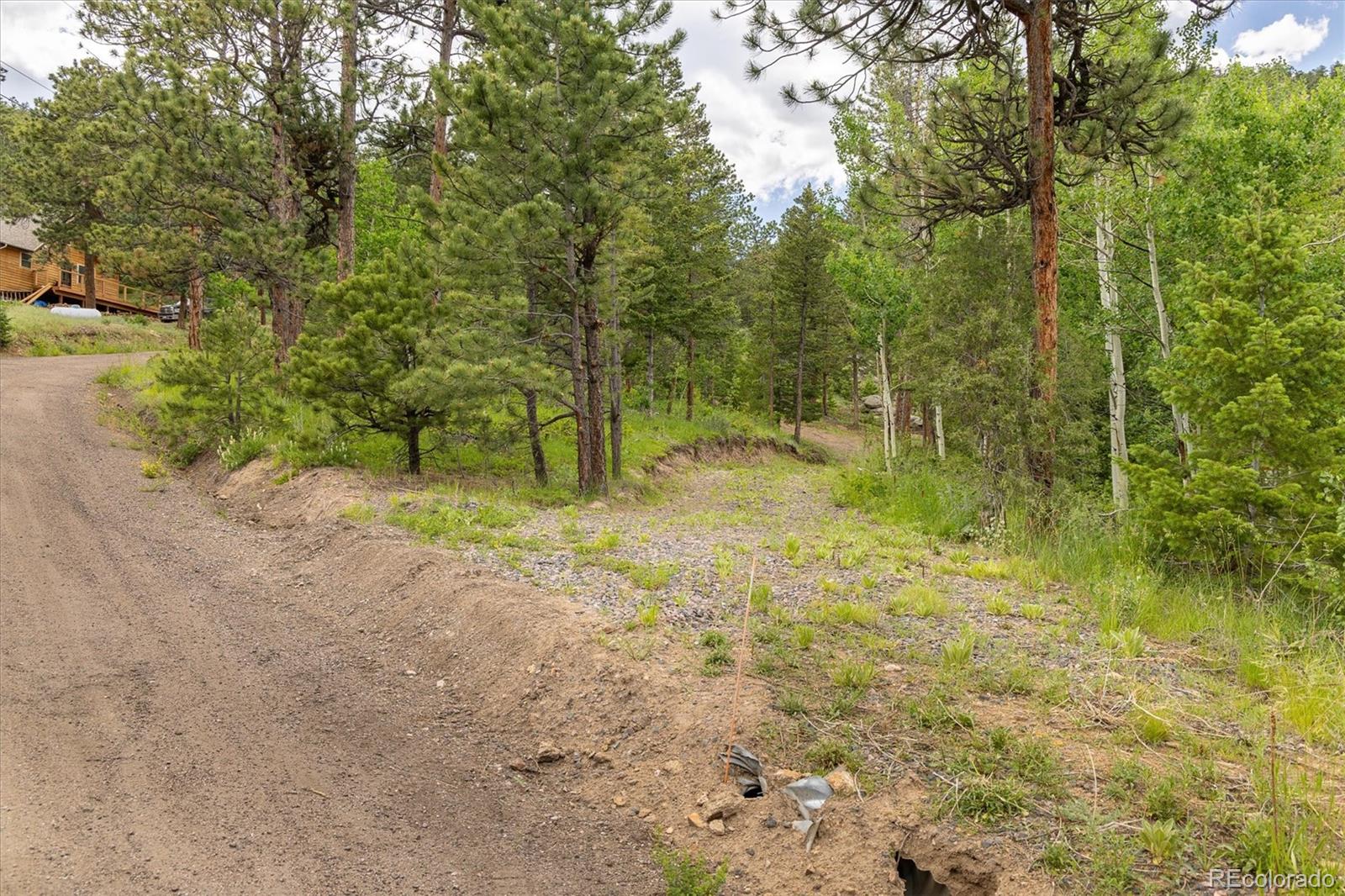 31429 Burke Road Golden, CO 80403 - Photo 8 of 40