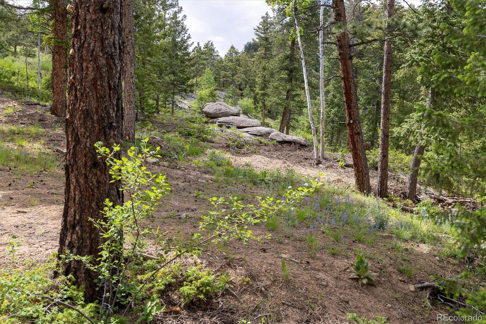 31429 Burke Road Golden, CO 80403 - Photo 9 of 40