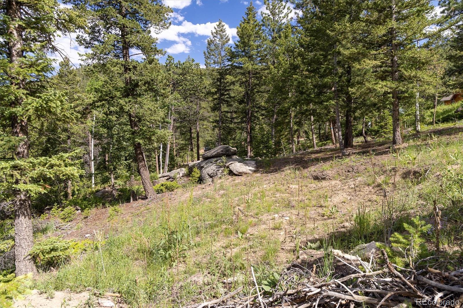 31429 Burke Road Golden, CO 80403 - Photo 10 of 40