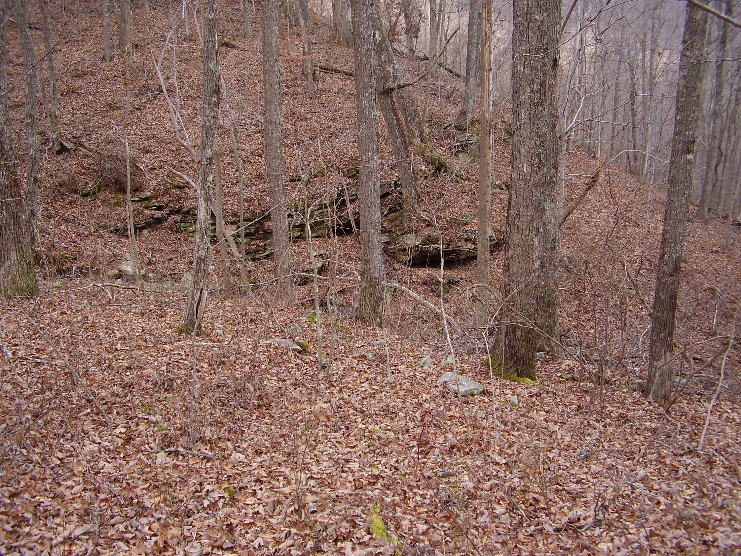 2 Jackson Point Road, Unit 2 Sewanee, TN 37375 - Photo 8 of 11 Ravine mouth April