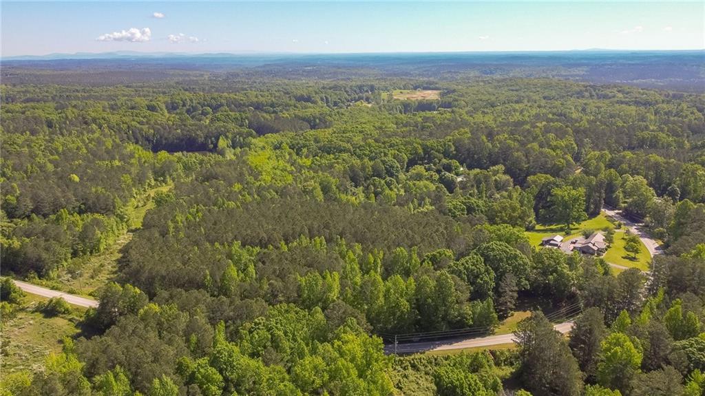 676 High Shoals Road Dallas, GA 30132 - Photo 3 of 18