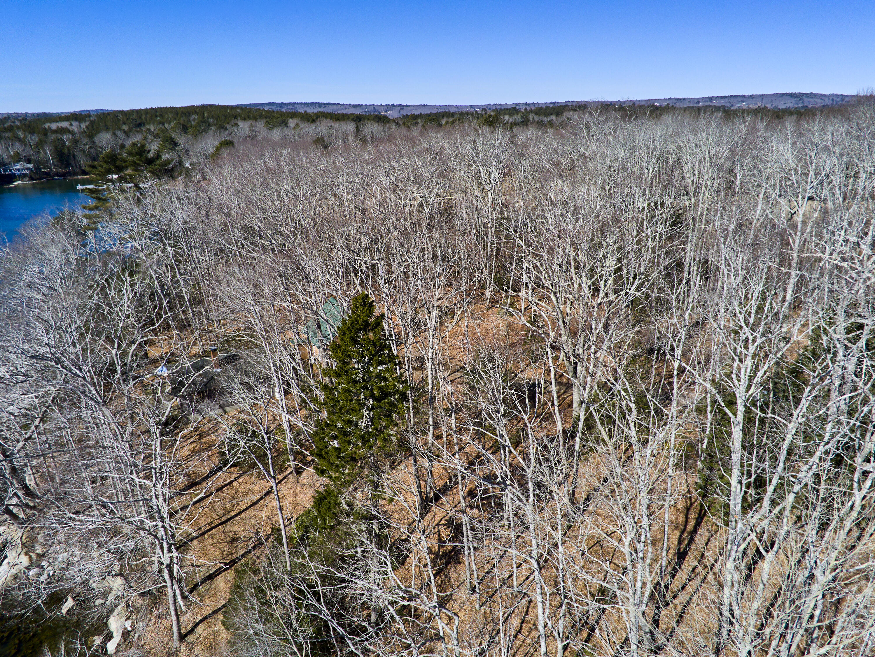 1582 Dutch Neck Road Waldoboro, ME 04572 - Photo 13 of 34 View of the log cottage