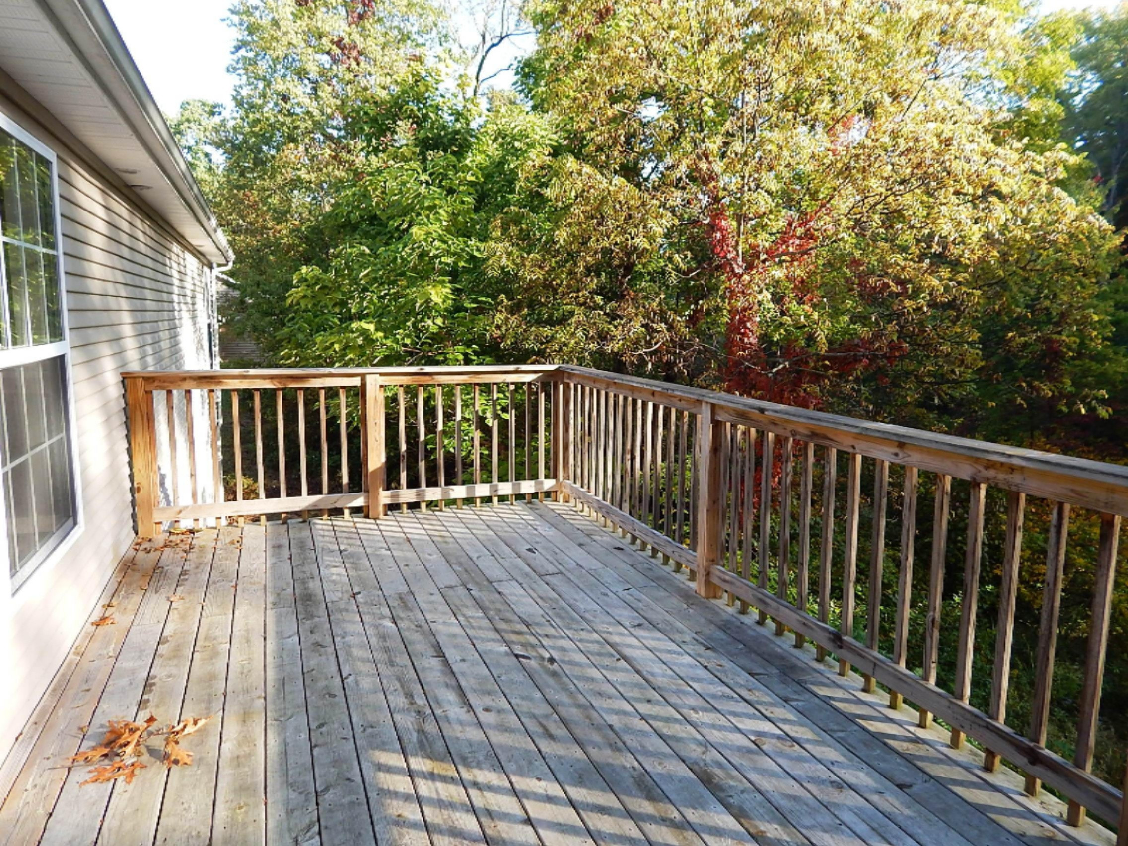 13356 Spence Road Three Rivers, MI 49093 - Photo 14 of 23 DSCN1450
