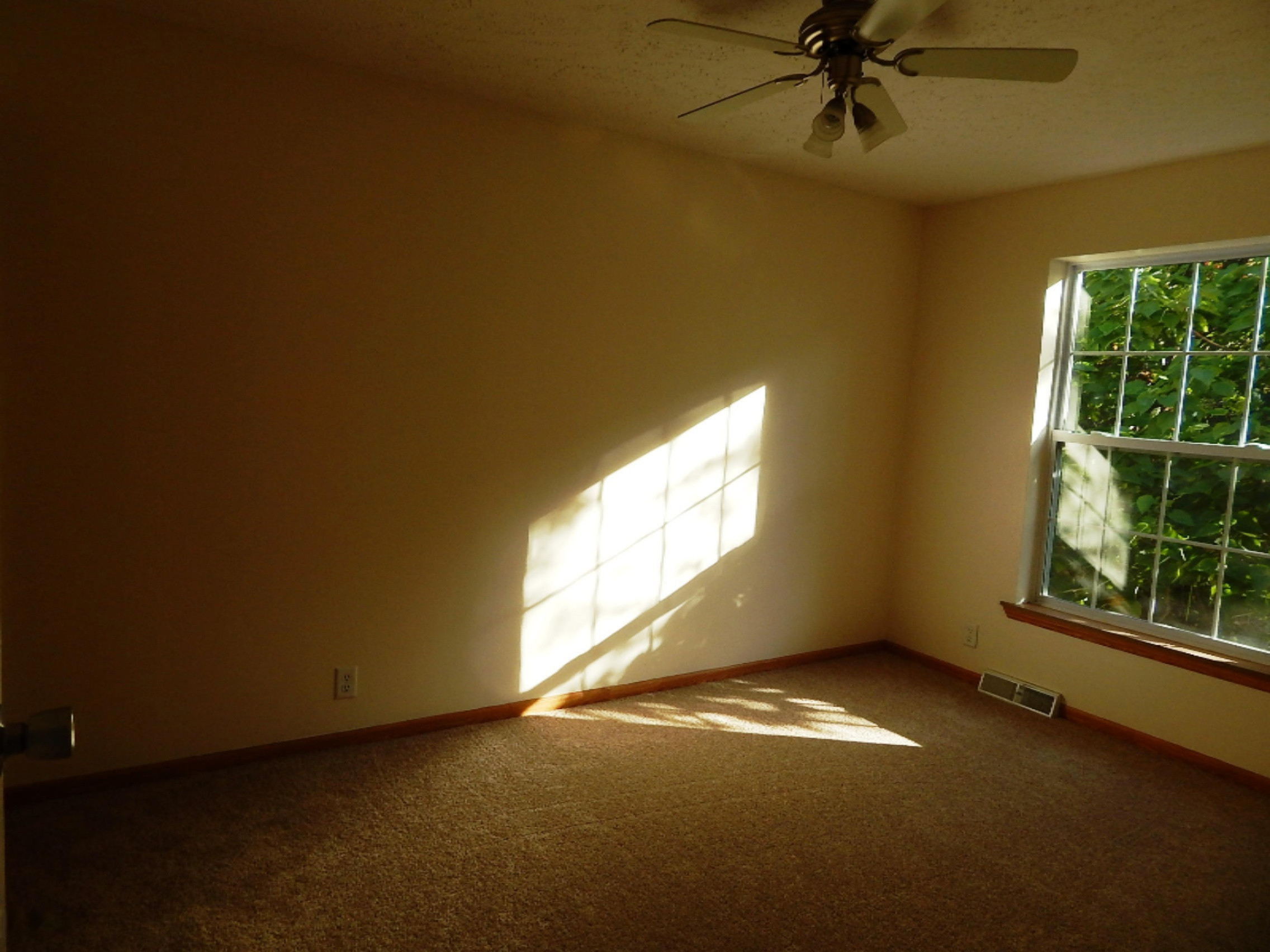 13356 Spence Road Three Rivers, MI 49093 - Photo 17 of 23 DSCN1452