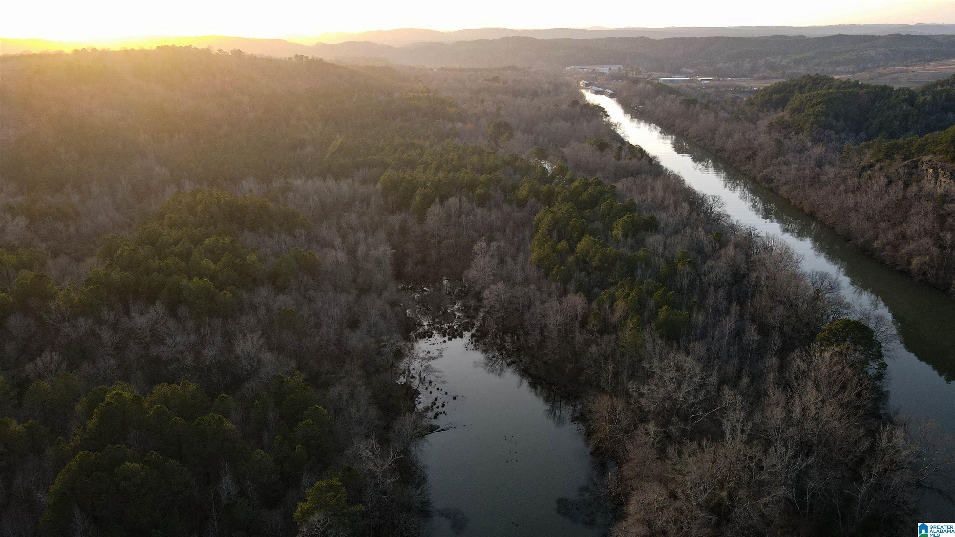 0 Parsons Loop Road Mulga, AL 35118 - Photo 10 of 38