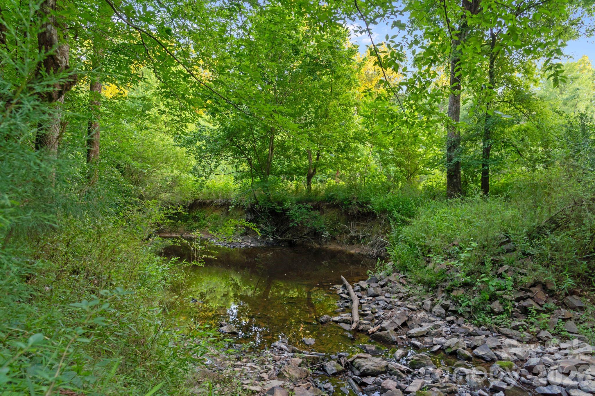 0 Lucy Short Cut Road, Unit 2 Marshville, NC 28103 - Photo 25 of 38 a view of a garden with a tree