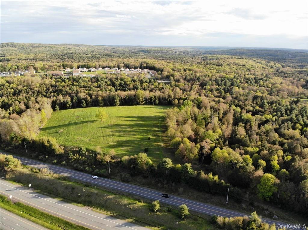 0 Benmosche Road Monticello, NY 12701 - Photo 17 of 19 Gallery Image 17