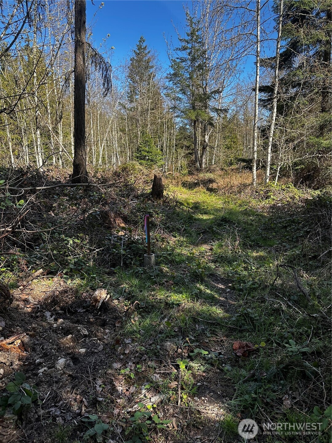 3 Robinson Rd Port Port Angeles, WA 98362 - Photo 4 of 10