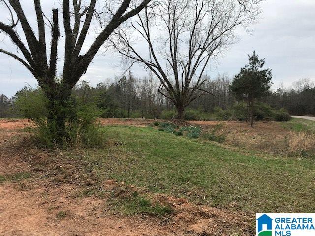 2651 Owens Road, Unit 31 ACRES Ashland, AL 36251 - Photo 2 of 7