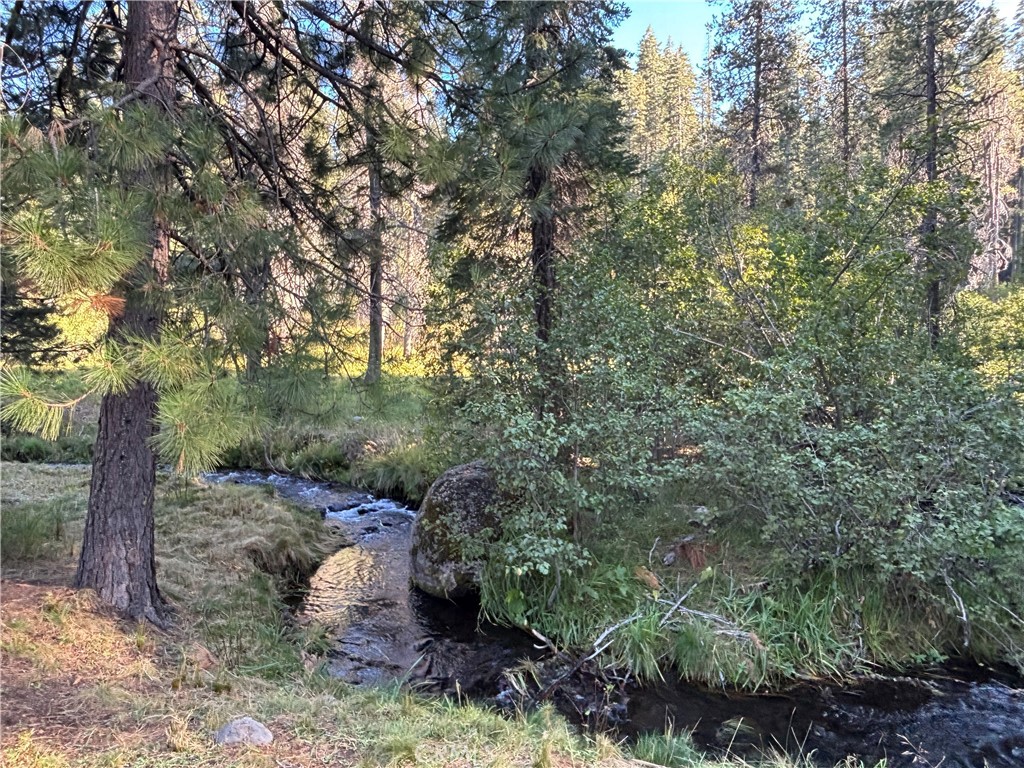 9478 Jones Creek Road, Unit 14 Forest Ranch, CA 95942 - Photo 2 of 35 Jones Creek at back of property