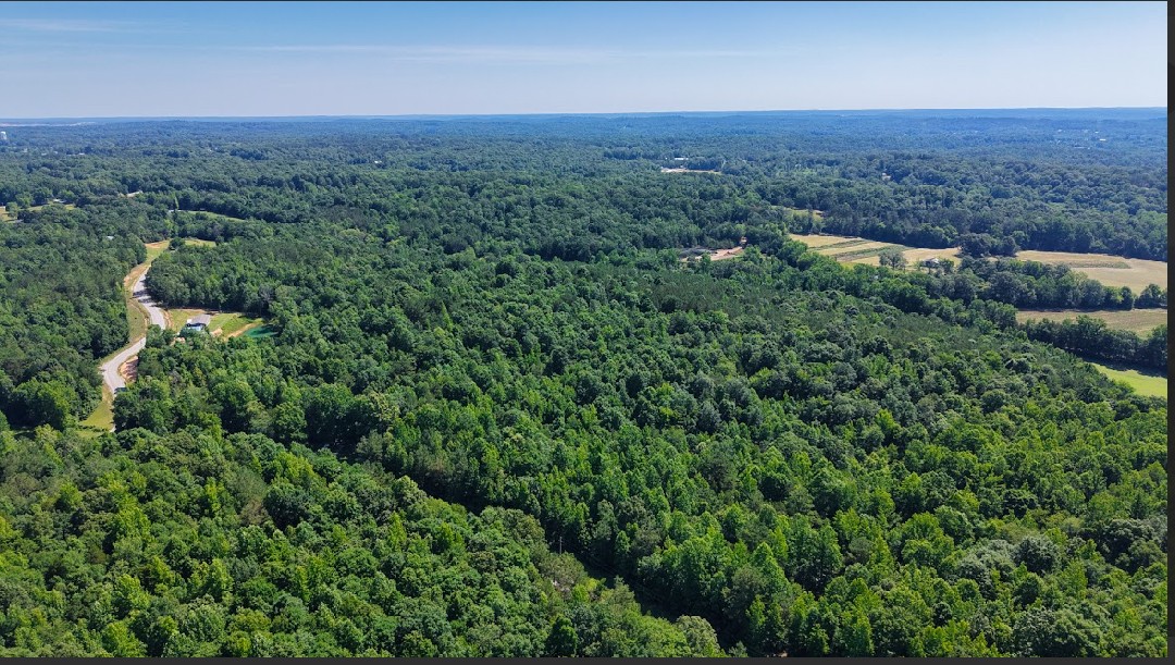 0 Beech Ridge Road Parsons, TN 38363 - Photo 11 of 14